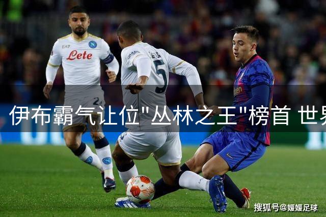 伊布霸气让位"丛林之王"榜首 世界杯决赛悬念升级
