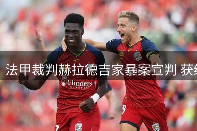 法甲裁判赫拉德吉家暴案宣判 获缓刑6个月